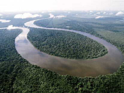 Vista aérea del río Amanã, afluente del Amazonas, donde el laureado de los Premios Rolex a la Iniciativa ha creado una reserva natural sostenible. ©Rolex/Marc Latzel