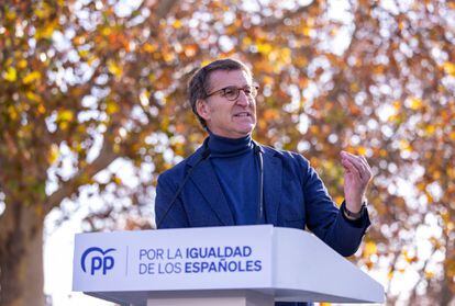 The leader of the PP, Alberto Núñez Feijóo, during his speech at the event against the amnesty.