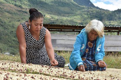La FAO, la agencia Notimía y el Foro Internacional de Mujeres Indígenas organizaron un concurso fotográfico sobre la importancia de estas últimas para la seguridad alimentaria de América Latina y el Caribe. Estas son las imágenes premiadas.