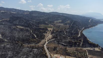 Colinas quemadas por uno de los incendios forestales de la isla griega de Eubea, el día 12.