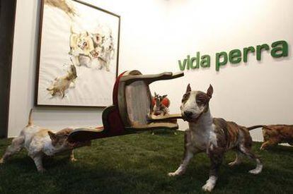 <i>Vida perra,</i> obra de Víctor Pulido en la galería MS en Arco 2010.