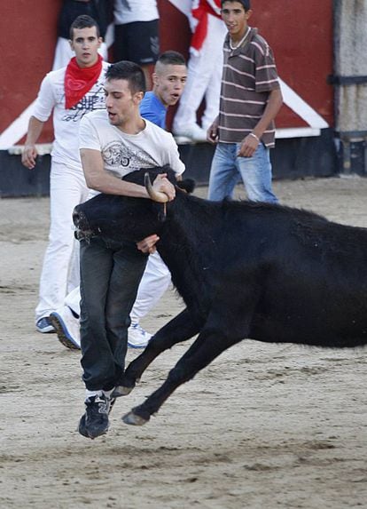 Los encierros taurinos más populares de la Comunidad de Madrid se celebran en agosto en San Sebastián de los Reyes durante las fiestas del Cristo de los Remedios. Las reses recorren en menos de dos minutos 820 metros en una carrera en la que participan unos 1.500 corredores. Otras localidades madrileñas que organizan encierros son Arganda del Rey, Colmenar de Oreja o Pozuelo de Alarcón. En 2015, en toda la comunidad, se registraron 665 actividades taurinas fuera de las plazas.