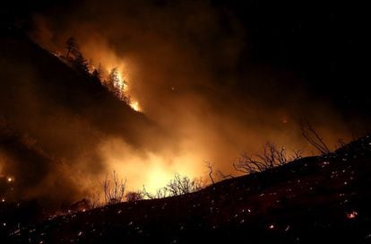 El fuego se expande en el parque nacional de los Los Padres en Ojai, California. El incendio llamado 'Thomas fire' arrasó con más de 60.000 hectáreas y destruyó 439 estructuras.