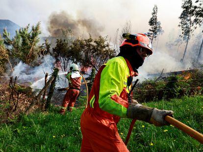 Incendios intencionados em EL PAÍS Brasil