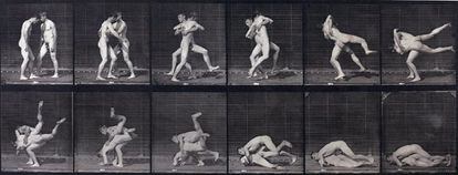 'Lucha de dos hombres desnudos', del fotógrafo Eadweard Muybridge.