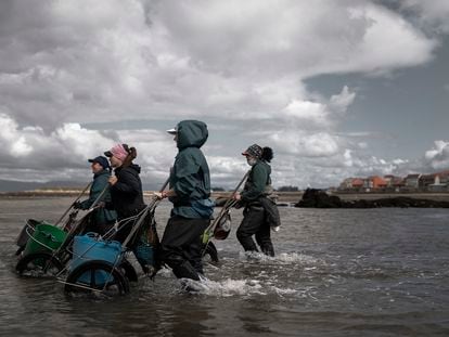 Las mujeres de Cambados idearon un ingenioso carrito para transportar los aperos y el marisco; antes lo llevaban sobre la cabeza.