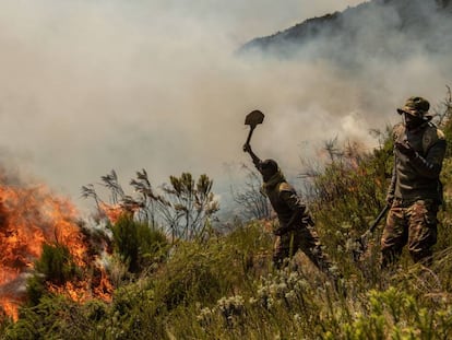 Soldados del ejército keniano luchan contra un fuego este marzo.