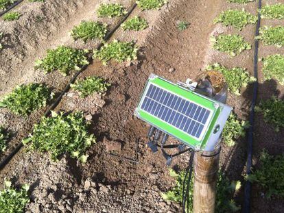 Sensor de Bynse en una plantación.