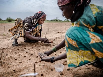 Dos mujeres plantan semillas en la región de Zinder, en el Sahel de Níger, en 2019.