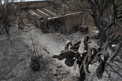 Vista de una de las casas quemadas en Andratx.
