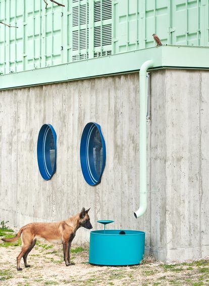 Los bebederos contemplan tanto las necesidades de los perros, en el contenedor más grande, como de los pájaros, en el soporte superior. El edificio reaprovecha además el agua de lluvia a través de un sistema de conductos desde la parte superior de la cubierta.