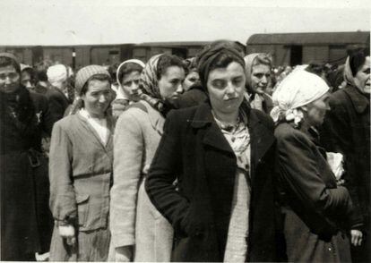 Sólo una minoría de judíos lograban sobrevivir a la selección. En esta imagen, aparecen varias mujeres que fueron identificadas: Suri Aron, del gueto de Tacovo, Chedvah Zelig (sobrevivió al Holocausto), Ester Kanez (sobrevivió al Holocausto) y Cilly Stahl (sobrevivió al Holocausto).