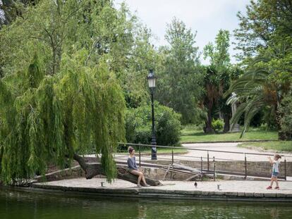 El parc de la Ciutadella quan va reobrir després del confinament, molt més salvatge.