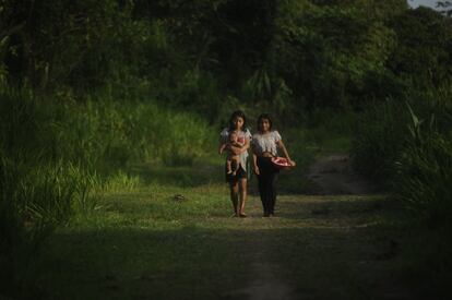 Algunas comunidades indígenas shipibo, como Nuevo Saposoa en Ucayali, representan la resistencia ante la mafia que deforesta sus selvas.