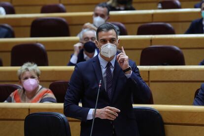 El presidente del Gobierno, Pedro Sánchez, durante una sesión de control al Gobierno en el Senado. EFE/Kiko Huesca