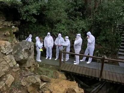 Un paseo por la cueva de Altamira