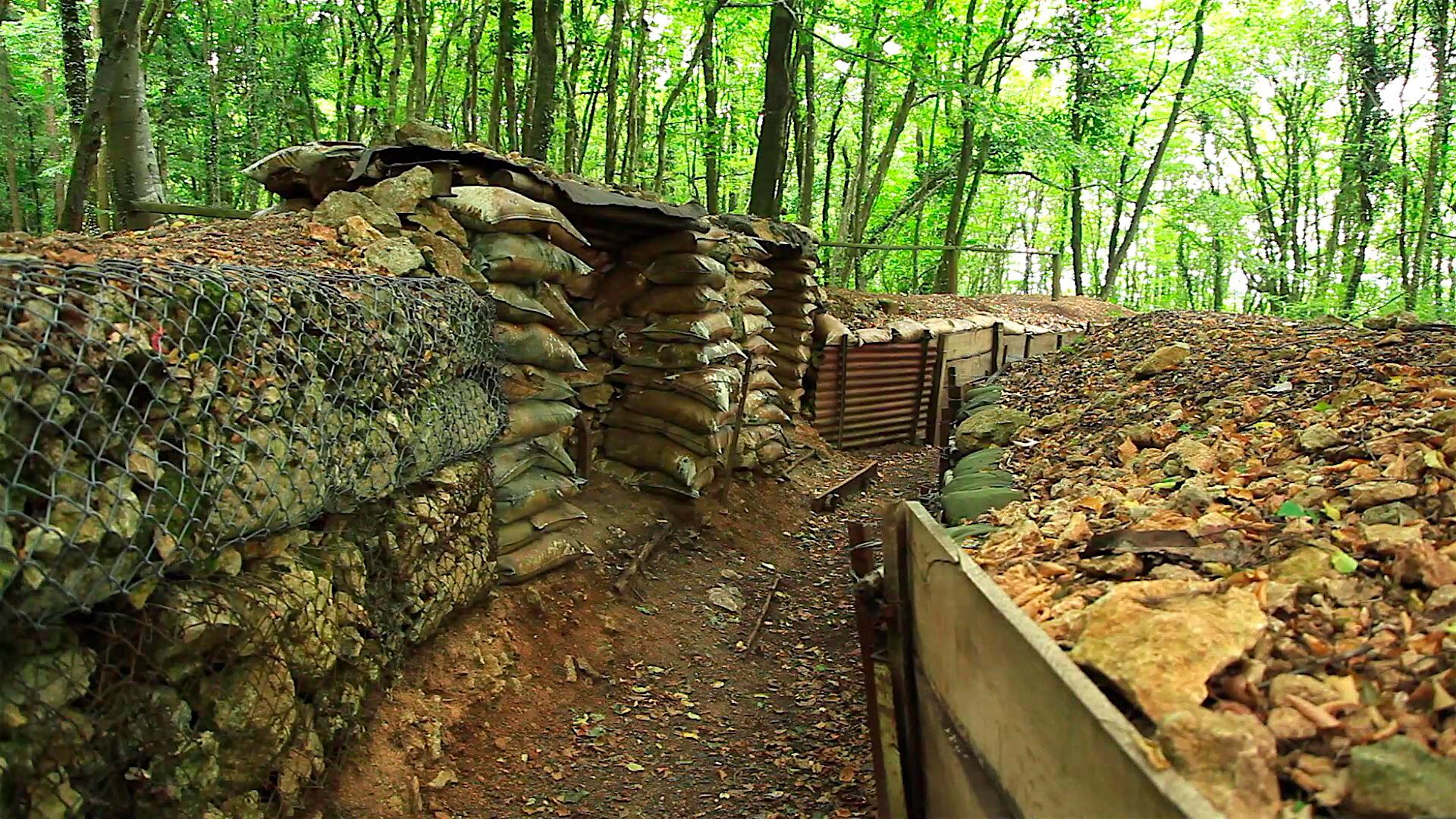 Trincheras de la Primera Guerra Mundial que se pueden visitar en el bosque de Verdún (norte de Francia), una masa forestal recuperada de la devastadora batalla. 