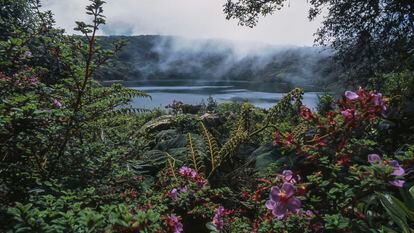 La Laguna de Botos rodeada de vegetación, alrededor del Volcán Poás, en Costa Rica.