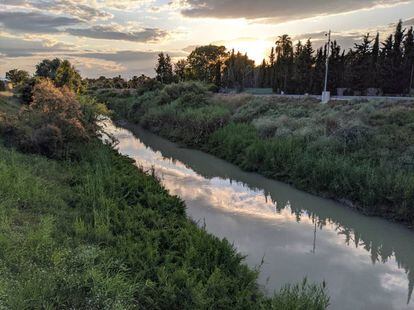 Afluente de un río a su paso por la Región de Murcia.