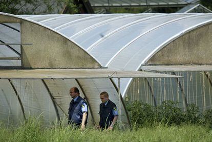 Los guardas de seguridad pasean entre los brotes de la granja alemana investiagada, Der Gärtnerhof.