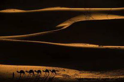 Imagen facilitada por el fotógrafo David Munilla de la zona de Erg Chebi en las puertas de Sahara. Los viajes que propone Munilla se diseñan entorno a la hora justa, la luz y el emplazamiento perfecto para capturar un determinado paisaje.