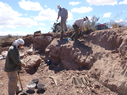 Científicos argentinos, estadounidenses y canadienses hallaron los fósiles del 'Meraxes gigas' en 2012, en la provincia de Neuquén, Argentina.
