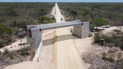 Parte de los trabajos del proyecto del Tren Maya, correspondientes al Tramo 3 Calkiní-Izamal entre los municipios de Maxcanú y Chocholá, el 30 de abril de 2022.
