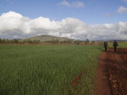 Terrenos de Campos de Montiel (Ciudad Real) donde estaba prevista la mina de tierras raras. 