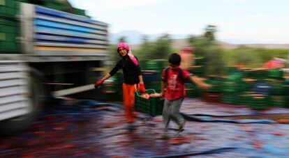 Dos refugiados sirios cargan una caja con productos agr&iacute;colas, en la provincia de Hatay, el 25 de octubre de 2014.