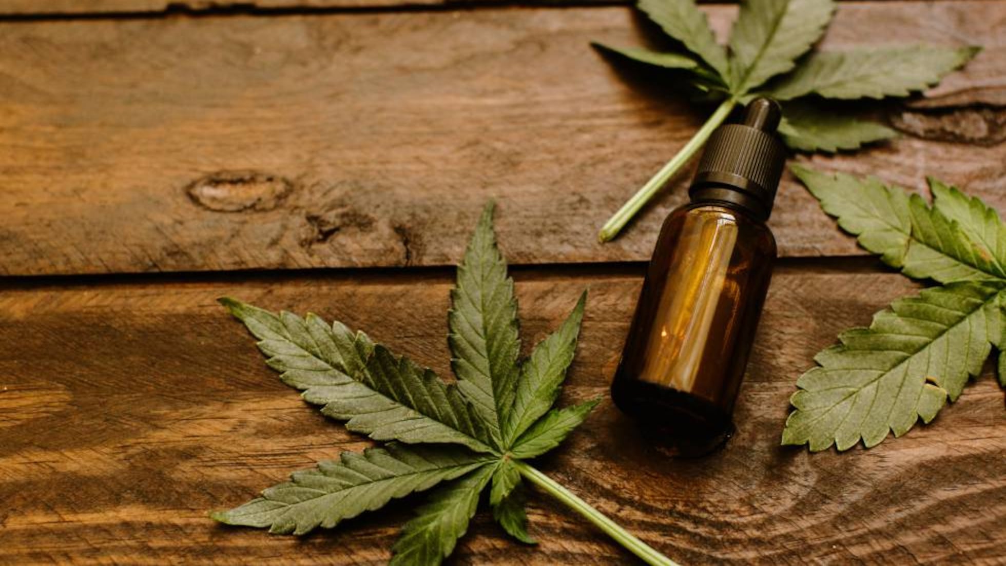 CBD: ¿Qué tiene el aceite de cannabis que está causando furor en EE UU? |  Salud | BuenaVida | EL PAÍS