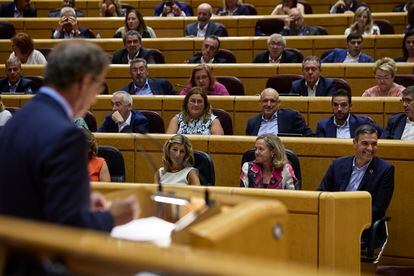 El presidente del PP, Alberto Núñez Feijóo, interviene este martes en el Senado. En segundo plano, a la derecha, el presidente del Gobierno, Pedro Sánchez.