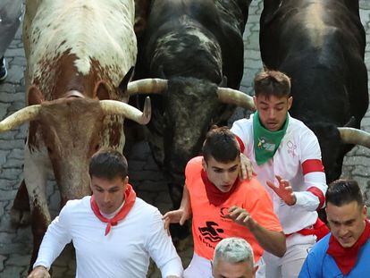 Los mozos corren durante el cuarto encierro de los sanfermines con toros de la ganadería La Palmosilla, este domingo en Pamplona.