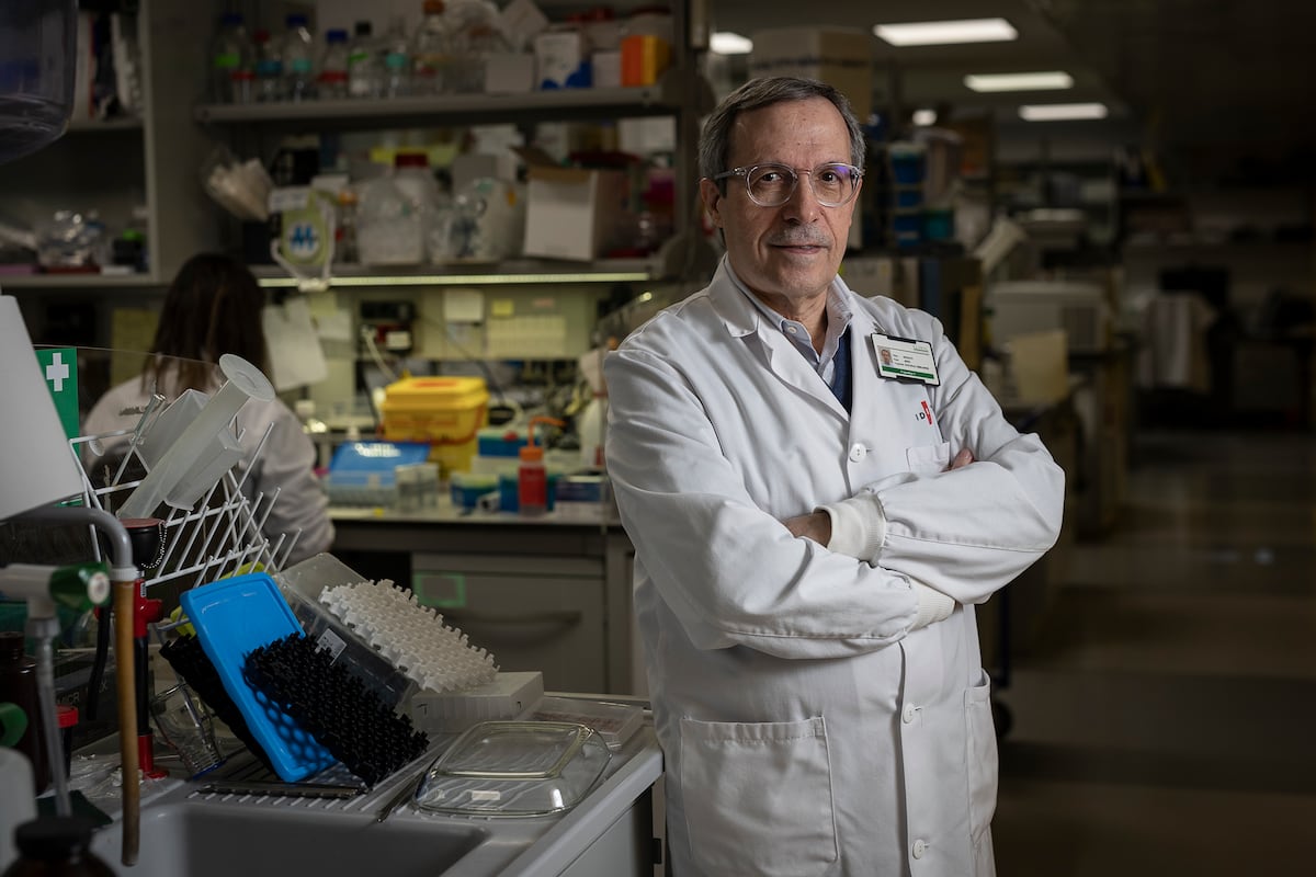 Josep Dalmau, neurólogo: “Estamos descubriendo cosas asombrosas, el cerebro no deja de dar sorpresas” | Sociedad