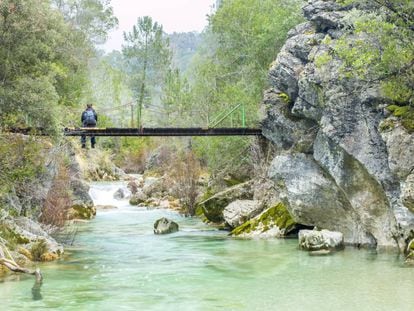 Puente sobre el r&iacute;o Borosa, en el parque natural de las Sierras de Cazorla, Segura y la Villas (Ja&eacute;n). 