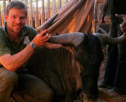 El veterinario inglés Jonathan Cranston se contagió de tuberculosis por contacto con los ñus que estaba investigando en Sudáfrica.