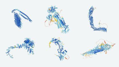Estructuras de proteínas predichas por el sistema de inteligencia artificial AlphaFold.