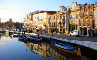 &#039;Moliceiros&#039;, las g&oacute;ndolas portuguesas, atracadas en uno de los canales de la ciudad costera de Aveiro. 