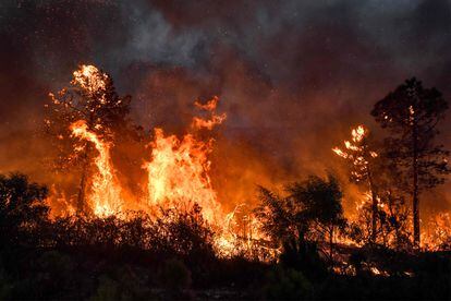 Un incendio forestal cerca de la ciudad de Melloula, en el noroeste de Túnez, cerca de la frontera con Argelia, el 24 de julio de 2023.