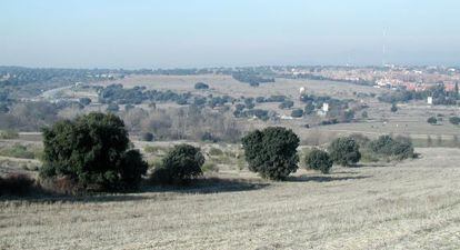 Imagen de uno de los montes preservados a los que afectar&iacute;a la urbanizaci&oacute;n.