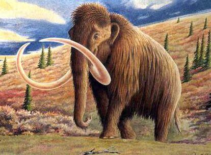 Dibujo de un mamut lanudo.