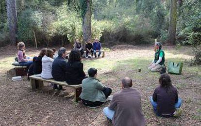 Un grupo de personas participa en los denominados “baños de bosque”.