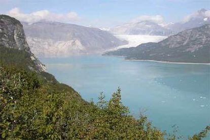 El mismo lugar, el 31 de agosto de 2004. Entre una imagen y otra ha perdido 12 kilómetros de hielo y 800 metros de espesor. Ahora hay vegetación.