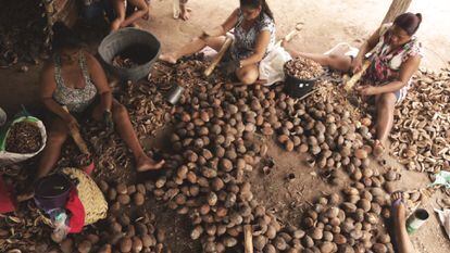 Mujeres quiebran cocos para extraer almendras de las que producen distintos productos en Sumaúma, una comunidad rural al norte de Tocantins, Brasil.