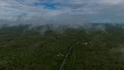 Vista aérea de la reserva de Calakmul, en Campeche, en mayo de 2020.