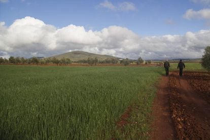Terrenos de Campos de Montiel (Ciudad Real) donde estaba prevista la mina de tierras raras.
