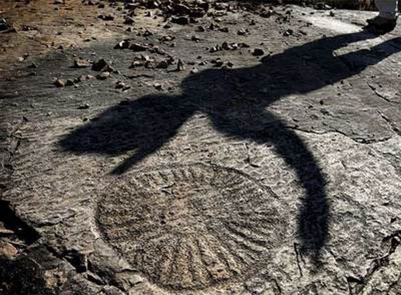 Foto de Piedra escrita de Constantina en Constantina, Sevilla