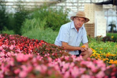 Josep Pàmies cultiva en Balaguer flores para uso culinario que utilizan, entre otros, Ferran Adrià y Santi Santamaria.