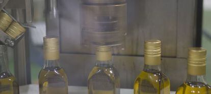 Botellas en una planta de envasado de aceite en Sevilla. 