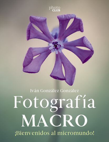 Viajero libros de foto