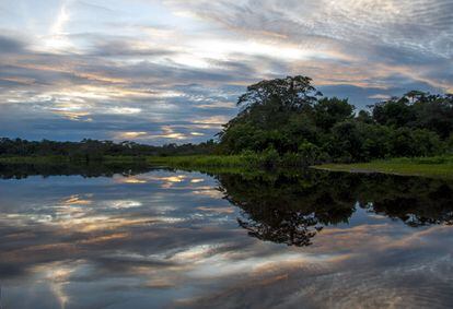 Atardecer en el Parque Nacional Yasuní. Infinitos y sublimes son los colores de los paisajes en la Amazonia norte ecuatoriana.